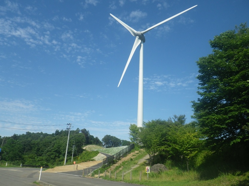 写真：風力発電所