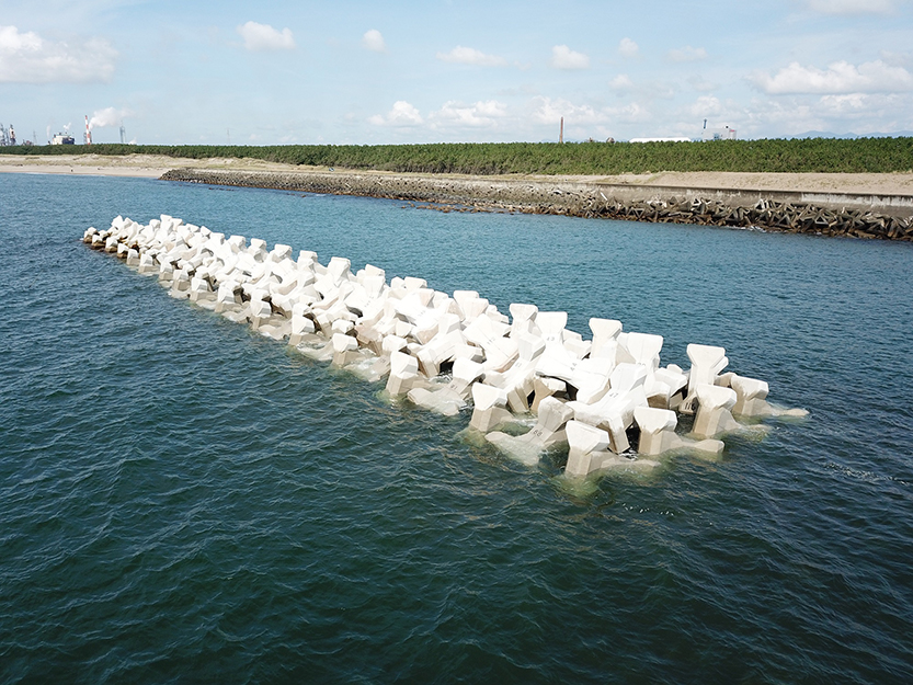 写真：砂奴寄地区防災林